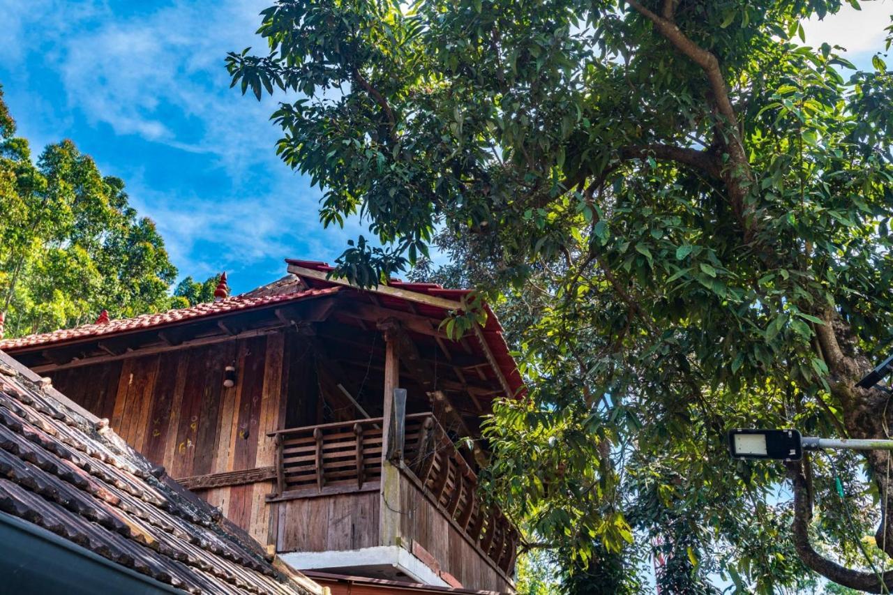 Castillo De Woods , The Private Luxury Villa , 8 Bhk, Vattavada Kottakamboor Extérieur photo
